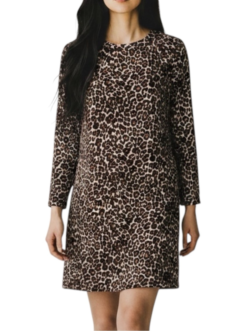 J Crew Brown Tan Cheetah Print Coastal Cowgirl Dress  NWOT Size 0